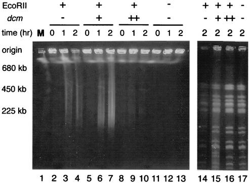 FIG. 7.