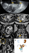 Fig. 7