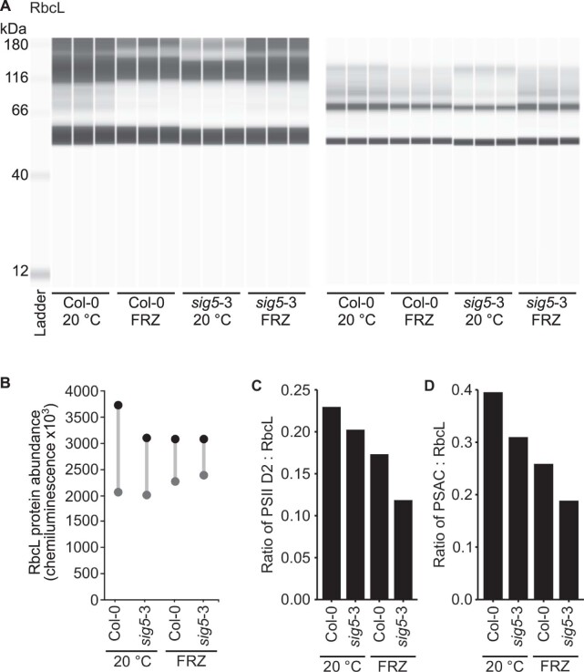 Extended Data Fig. 6