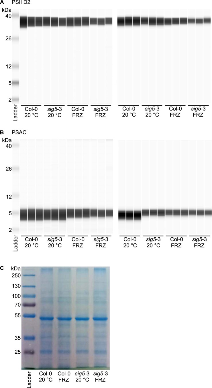 Extended Data Fig. 5