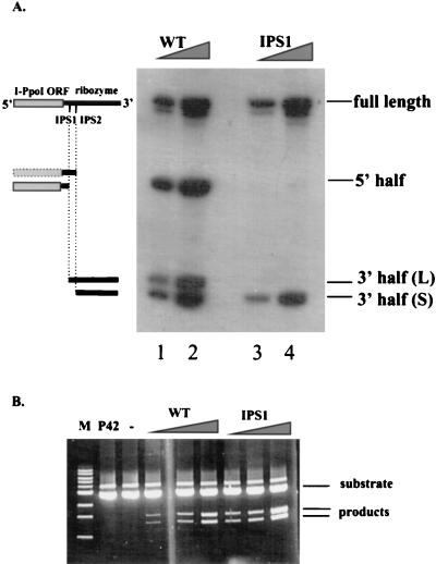 FIG. 5