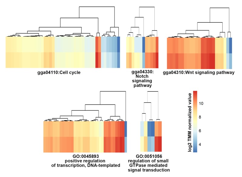 Figure 4—figure supplement 1.