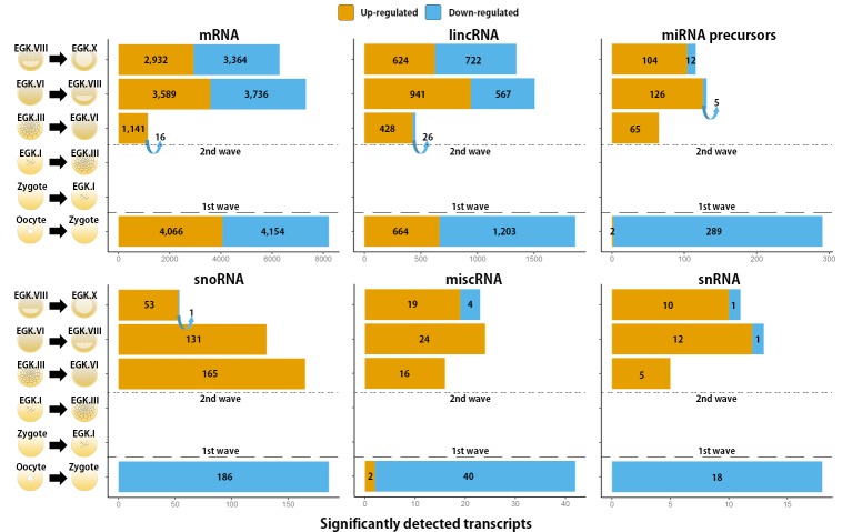 Figure 1—figure supplement 3.