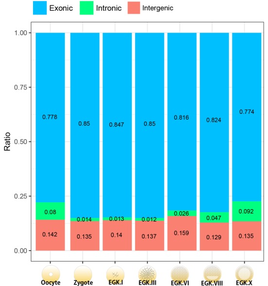 Figure 1—figure supplement 2.