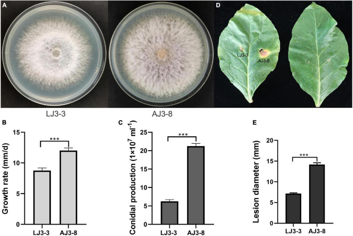 FIGURE 1