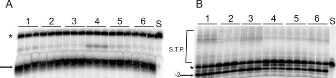 FIG. 7.