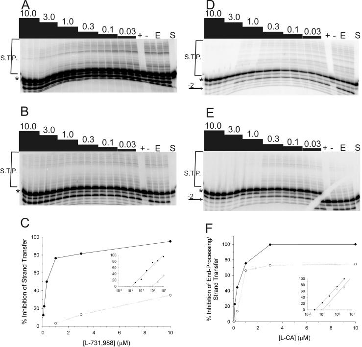 FIG. 8.