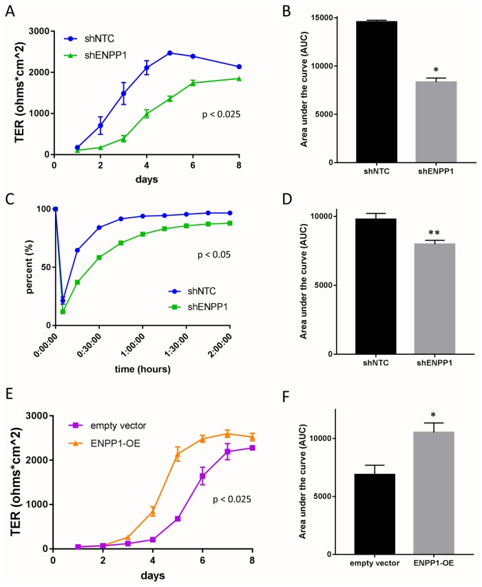 FIGURE 6: