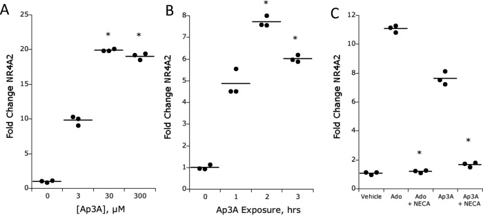 FIGURE 2: