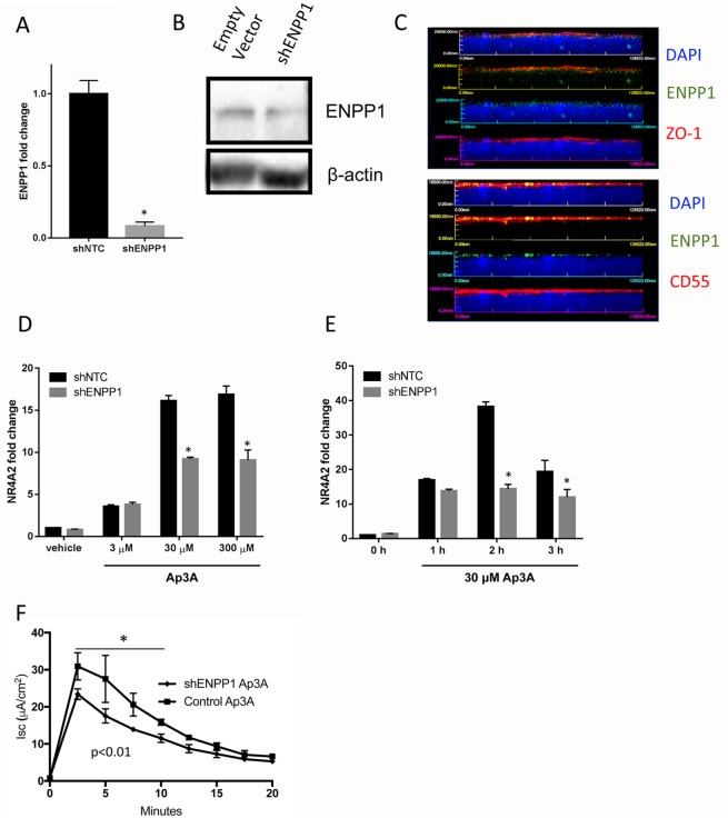 FIGURE 3: