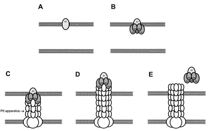 FIG. 7.