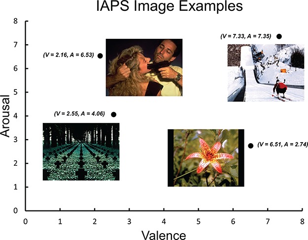 Fig. 3