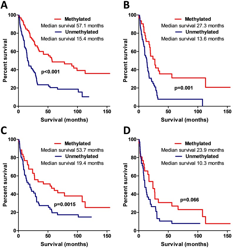 Significance of Amphiregulin (AREG) for the Outcome of Low and High ...