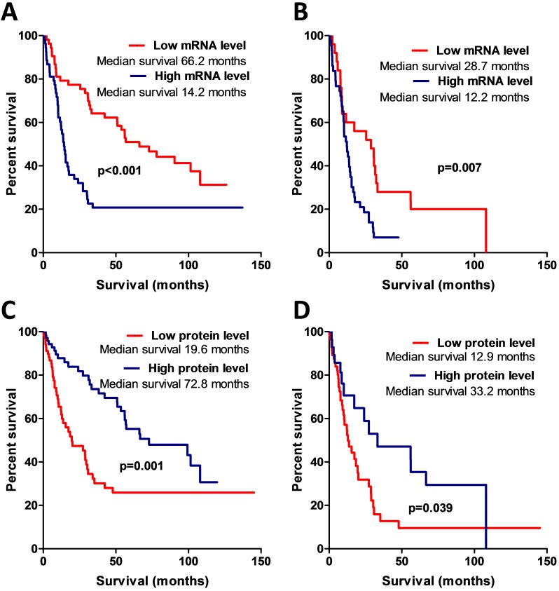 Significance of Amphiregulin (AREG) for the Outcome of Low and High ...