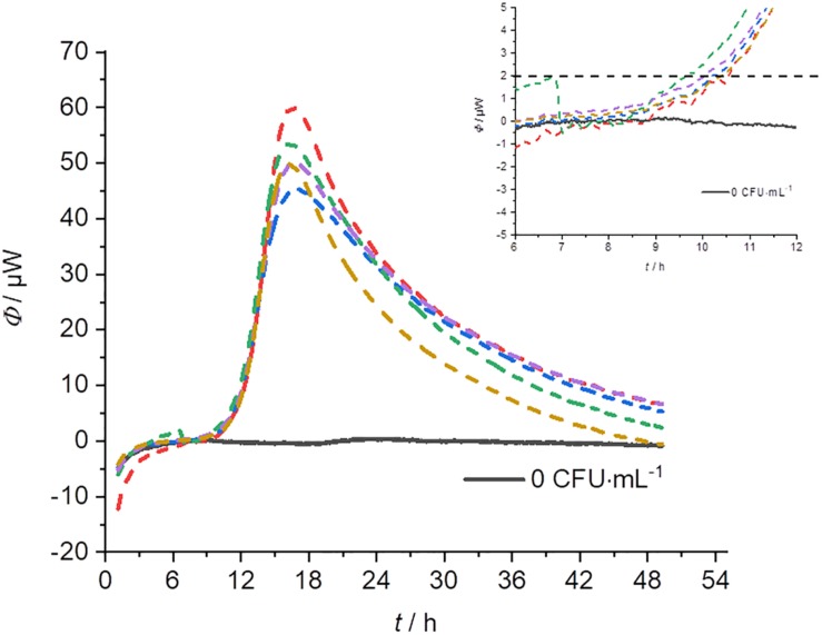 FIGURE 6