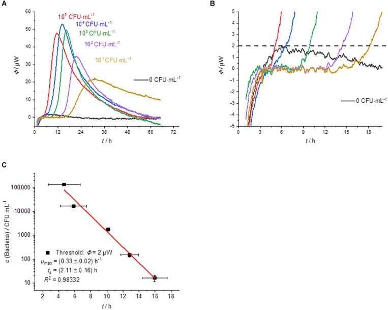 FIGURE 4