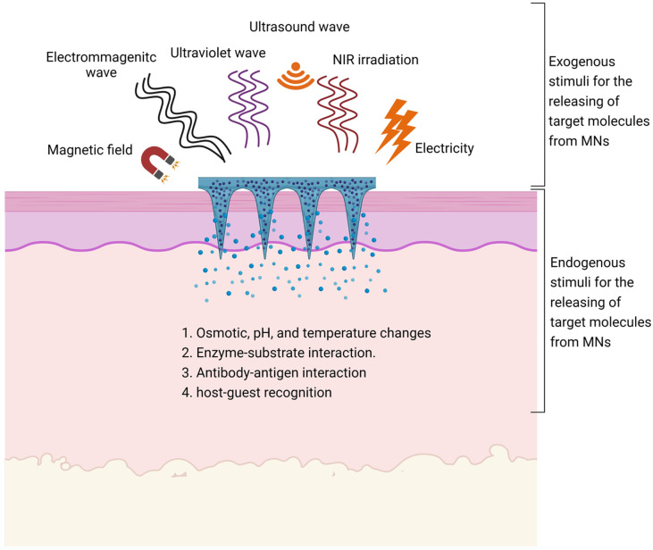 Figure 5.