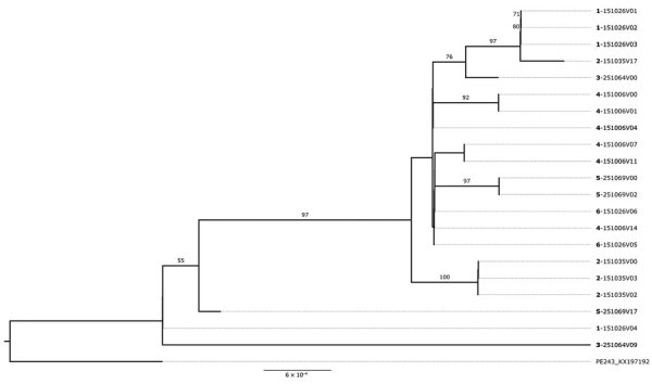 Figure 5