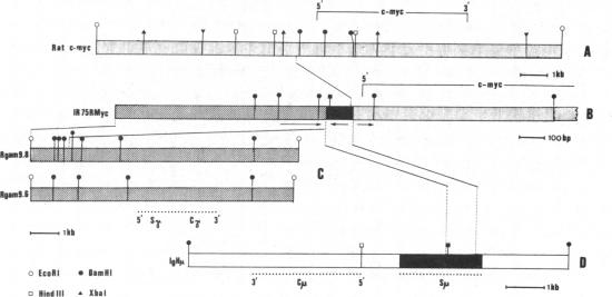 graphic file with name pnas00323-0257-a.jpg