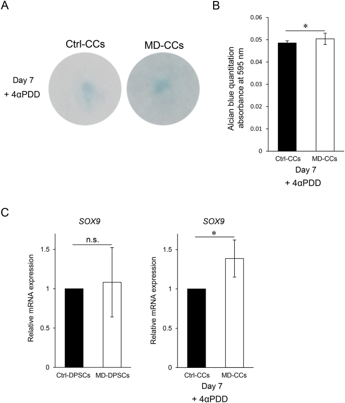 Fig. 4