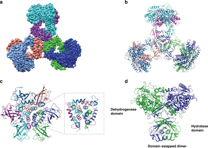 Fig. 2