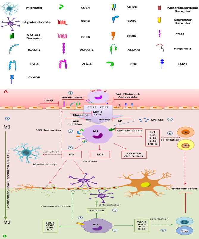 Figure 2