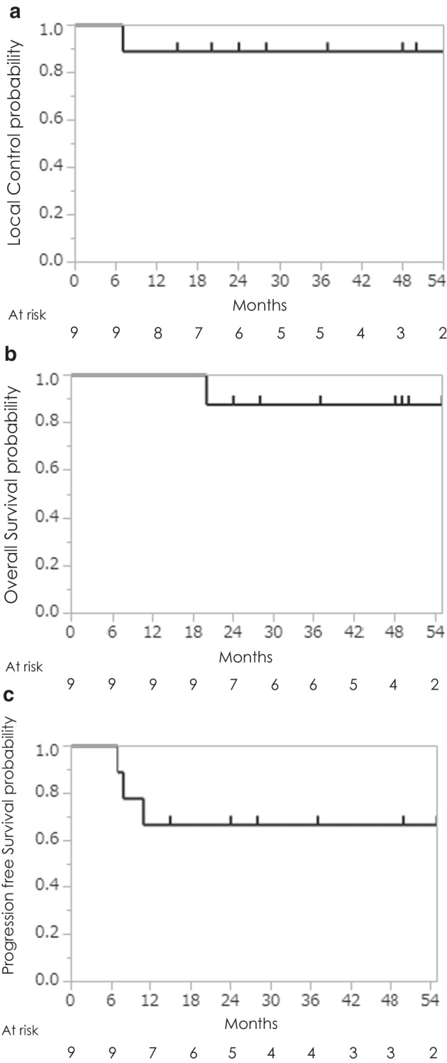 Fig. 1