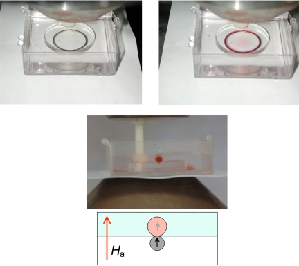 Fig. 2.