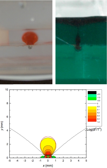 Fig. 7.