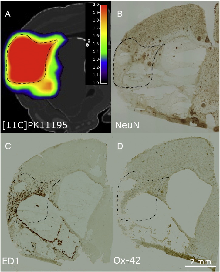 Fig. 4