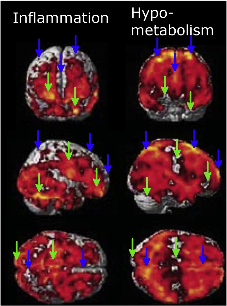 Fig. 7