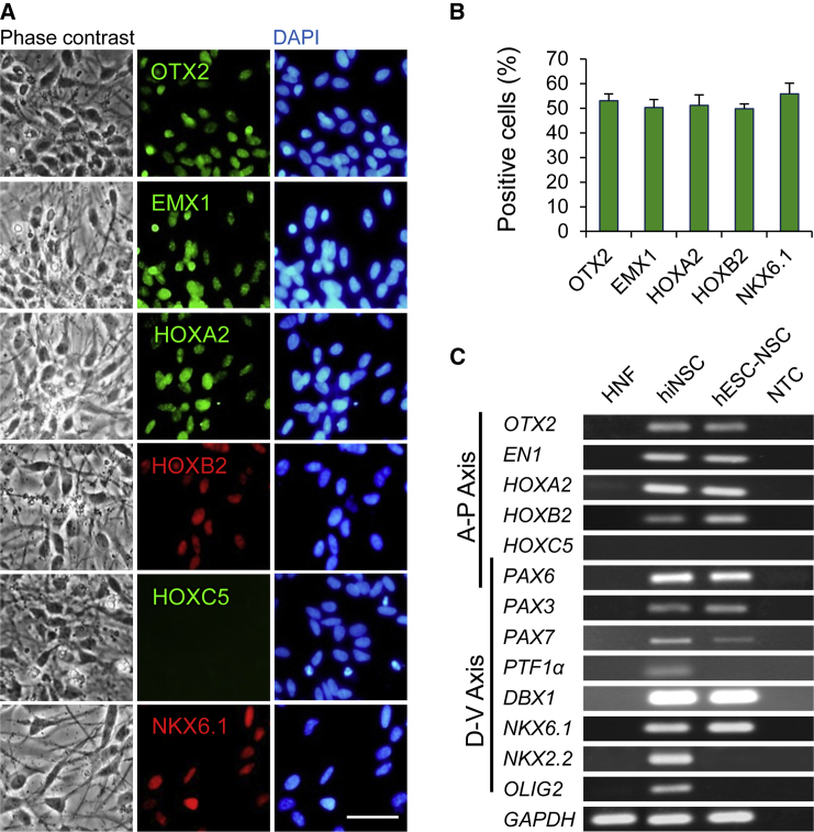 Figure 4