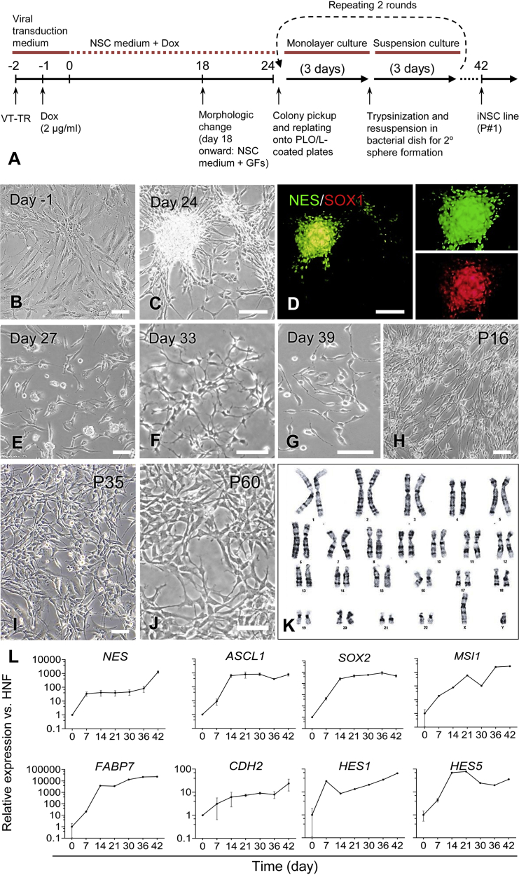 Figure 2