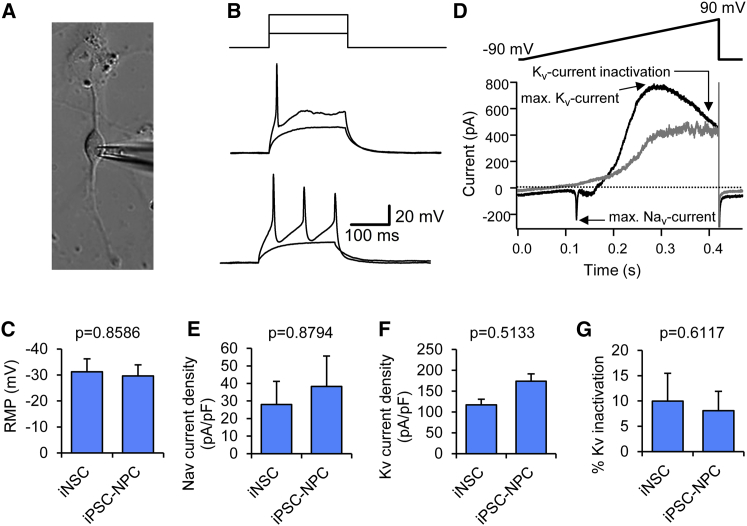 Figure 7