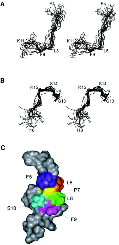 FIG. 6.