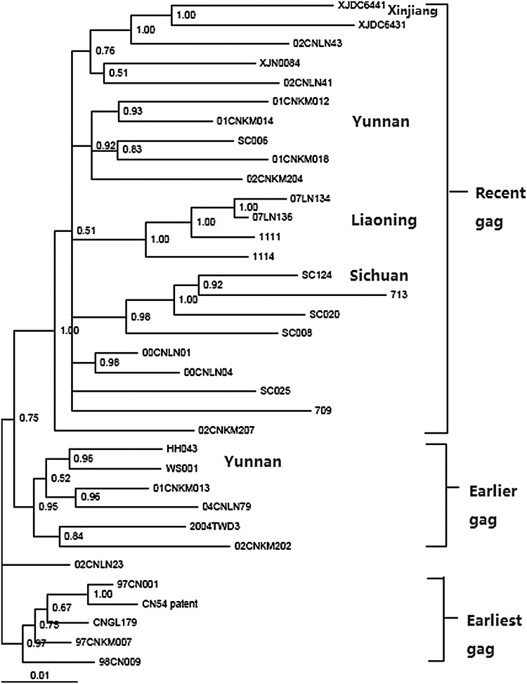 FIG. 2.