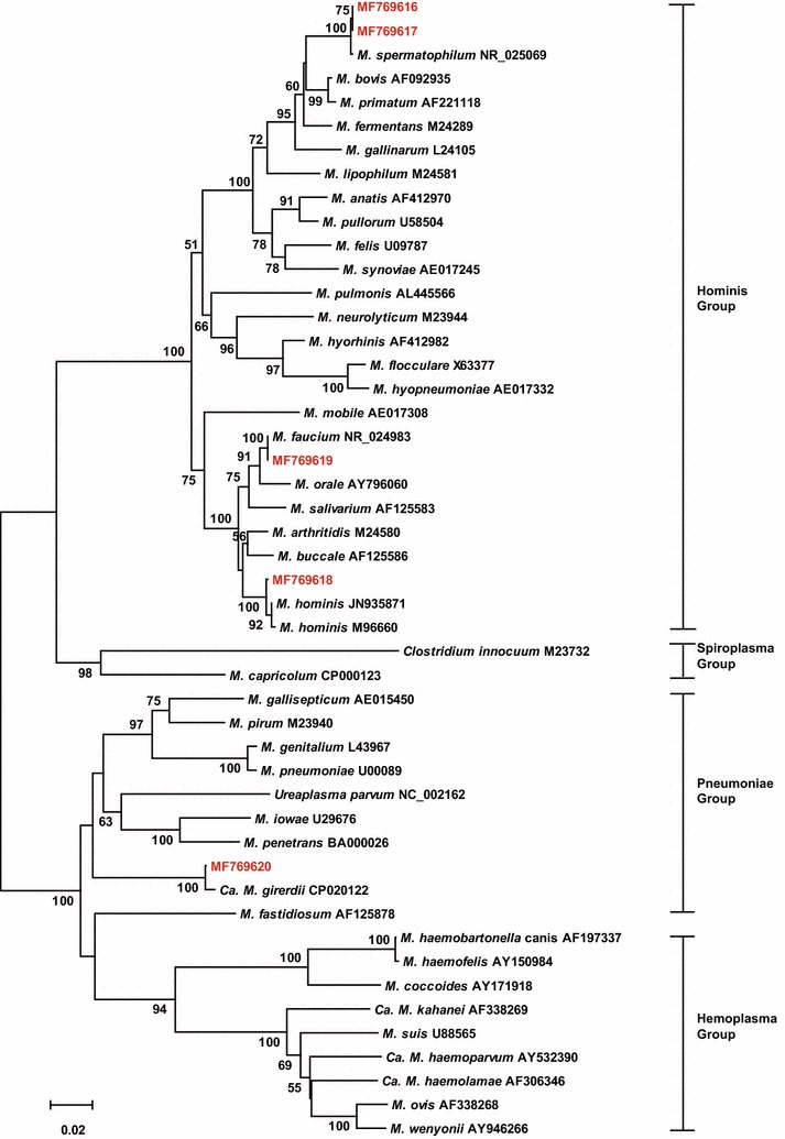 Fig. 1