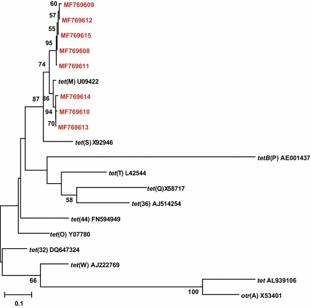 Fig. 2