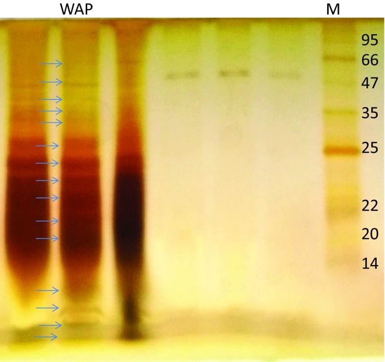 Fig. 4