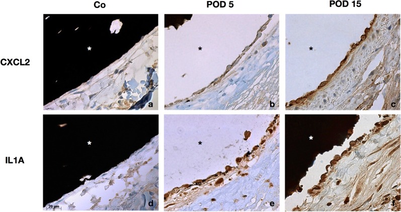 Fig. 6