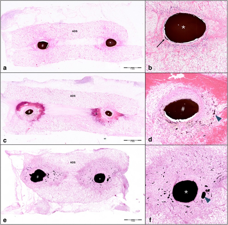 Fig. 5