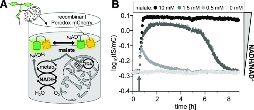 Figure 3.