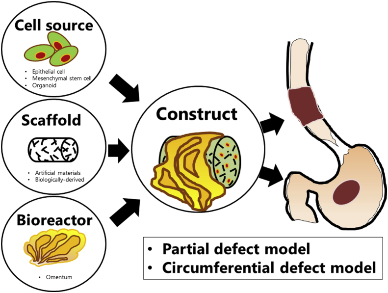 Fig. 1