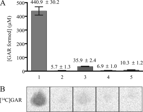 FIGURE 4.