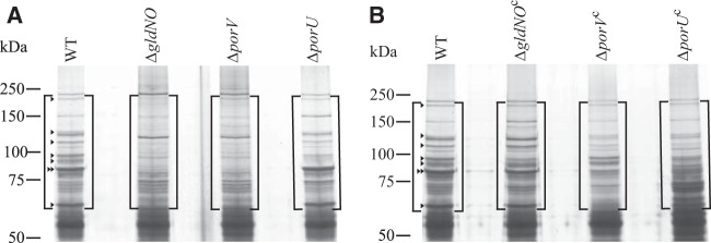 FIG 9