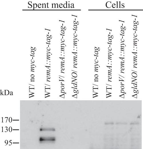 FIG 5