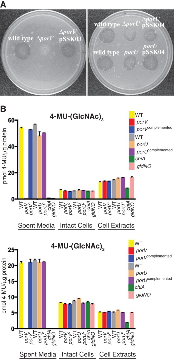 FIG 2