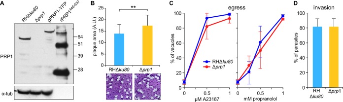 FIG 2 