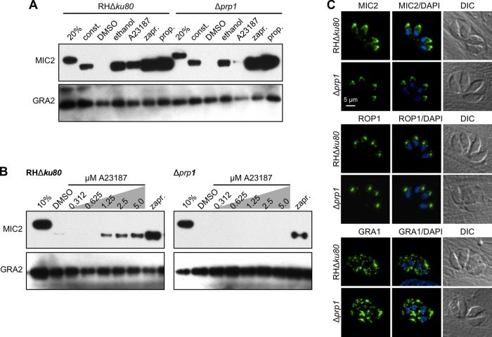 FIG 3 