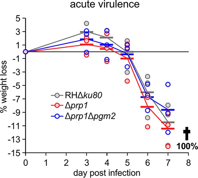 FIG 6 